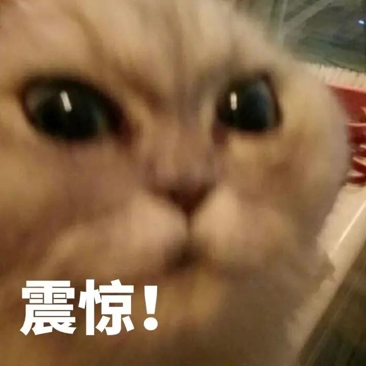 DƬ